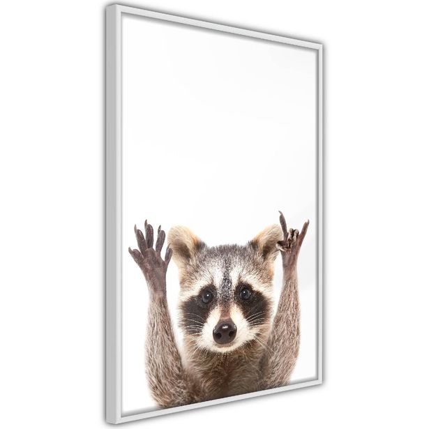Juliste Artgeist Raccoon, kehyksillä, eri kokoja