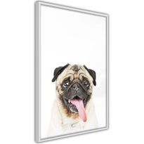 Juliste Artgeist Pug, kehyksillä, eri kokoja