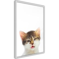 Juliste Artgeist Vexed Cat, kehyksillä, eri kokoja