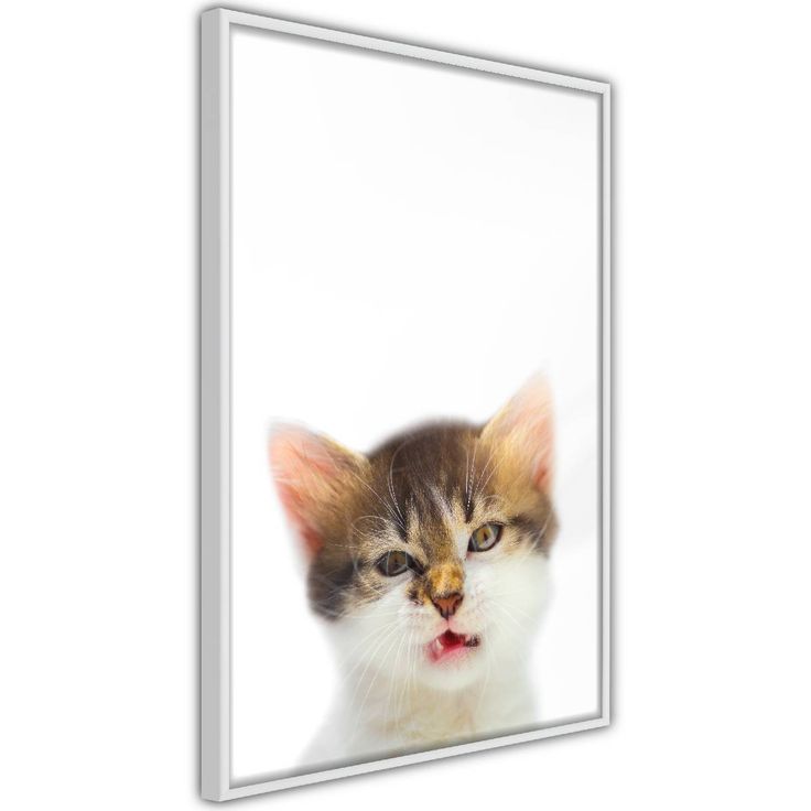 Juliste Artgeist Vexed Cat, kehyksillä, eri kokoja