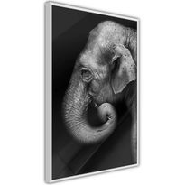 Juliste Artgeist Portrait of Elephant, kehyksillä, eri kokoja