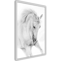 Juliste Artgeist White Horse, kehyksillä, eri kokoja