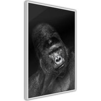 Juliste Artgeist Gorilla, kehyksillä, eri kokoja