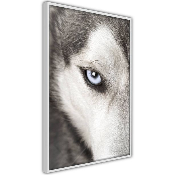 Juliste Artgeist Dog's Look, kehyksillä, eri kokoja