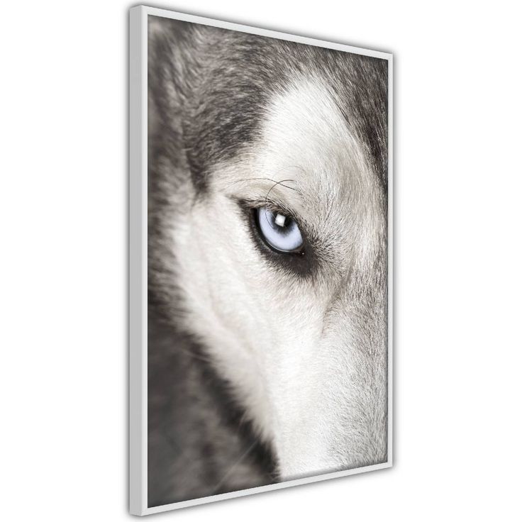 Juliste Artgeist Dog's Look, kehyksillä, eri kokoja