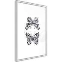 Juliste Artgeist Two Butterflies, kehyksillä, eri kokoja