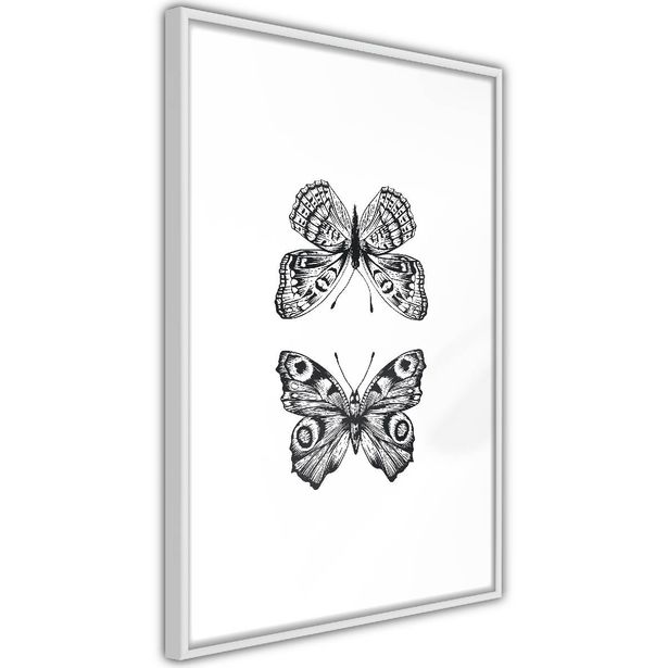 Juliste Artgeist Two Butterflies, kehyksillä, eri kokoja