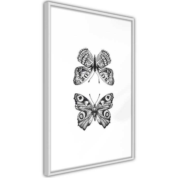 Juliste Artgeist Two Butterflies, kehyksillä, eri kokoja