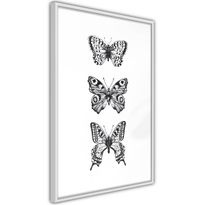 Juliste Artgeist Three Butterflies, kehyksillä, eri kokoja