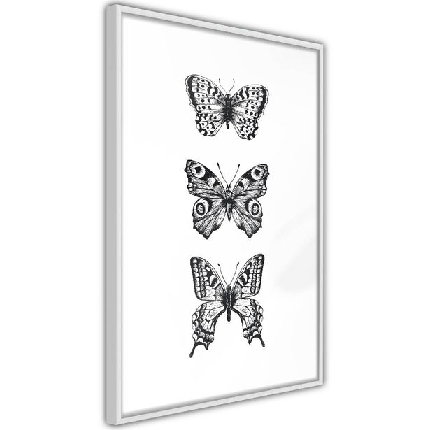 Juliste Artgeist Three Butterflies, kehyksillä, eri kokoja