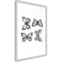 Juliste Artgeist Four Butterflies, kehyksillä, eri kokoja