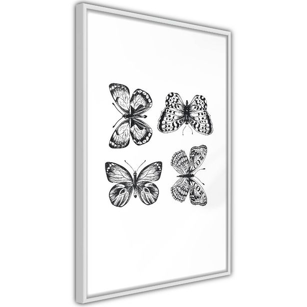 Juliste Artgeist Four Butterflies, kehyksillä, eri kokoja