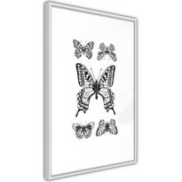 Juliste Artgeist Five Butterflies, kehyksillä, eri kokoja