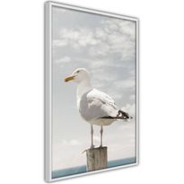 Juliste Artgeist Seagull, kehyksillä, eri kokoja