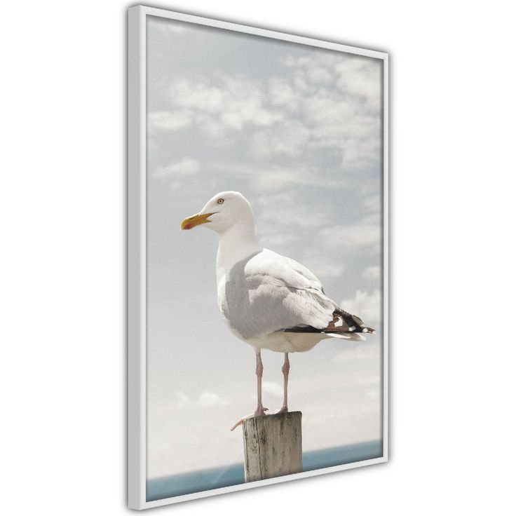 Juliste Artgeist Seagull, kehyksillä, eri kokoja