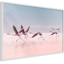 Juliste Artgeist Flamingos Race, kehyksillä, eri kokoja
