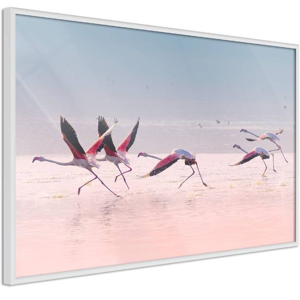 Juliste Artgeist Flamingos Race, kehyksillä, eri kokoja
