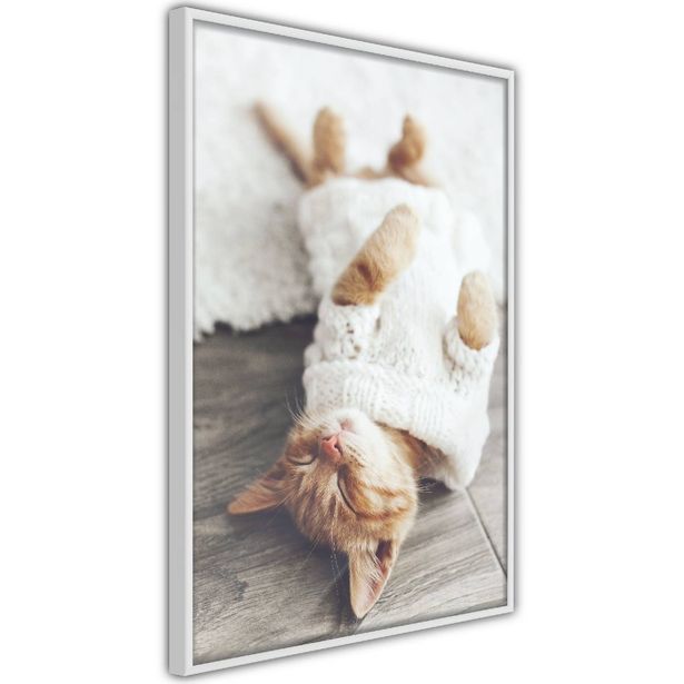 Juliste Artgeist Lazy Cat, kehyksillä, eri kokoja