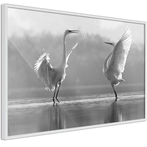 Juliste Artgeist Heron Love, kehyksillä, eri kokoja
