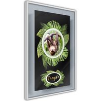 Juliste Artgeist Sloth, kehyksillä, eri kokoja