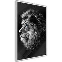 Juliste Artgeist Blue-eyed Lion, kehyksillä, eri kokoja