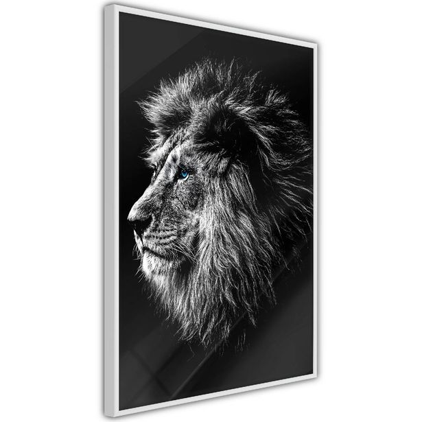 Juliste Artgeist Blue-eyed Lion, kehyksillä, eri kokoja