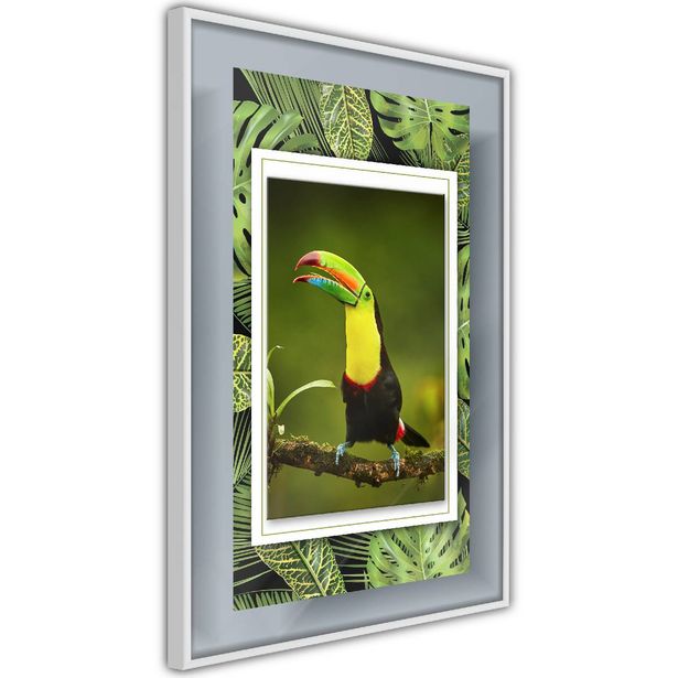 Juliste Artgeist Toucan, kehyksillä, eri kokoja