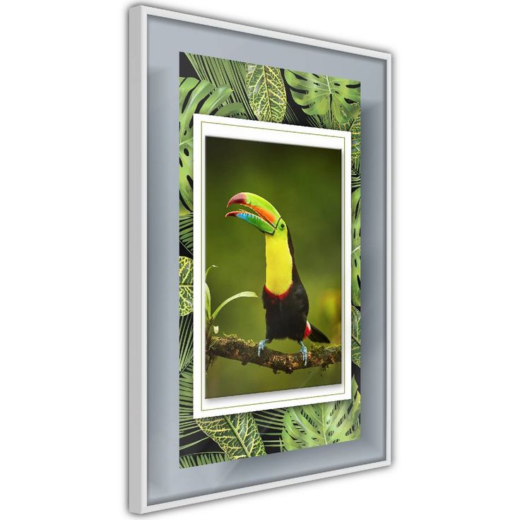 Juliste Artgeist Toucan, kehyksillä, eri kokoja