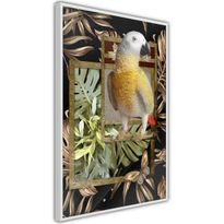 Juliste Artgeist Golden Parrot, kehyksillä, eri kokoja
