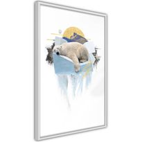 Juliste Artgeist Polar Bear, kehyksillä, eri kokoja