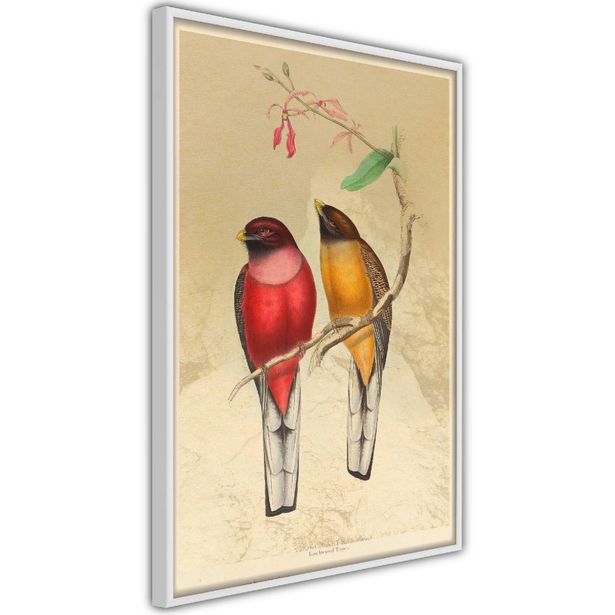 Juliste Artgeist Birds Twig, kehyksillä, eri kokoja