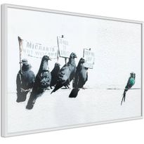 Juliste Artgeist Xenophobic Pigeons, kehyksillä, eri kokoja