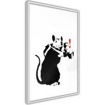 Juliste Artgeist Rat Photographer, kehyksillä, eri kokoja