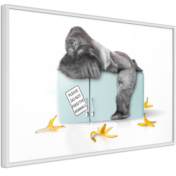 Juliste Artgeist Hungry Gorilla, kehyksillä, eri kokoja