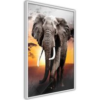 Juliste Artgeist Warm Savanna, kehyksillä, eri kokoja