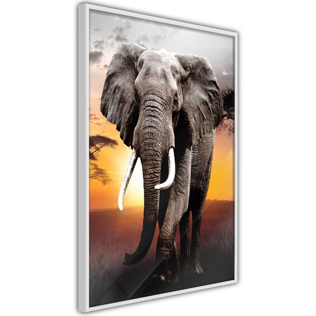 Juliste Artgeist Warm Savanna, kehyksillä, eri kokoja