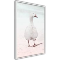 Juliste Artgeist Winter Duck, kehyksillä, eri kokoja