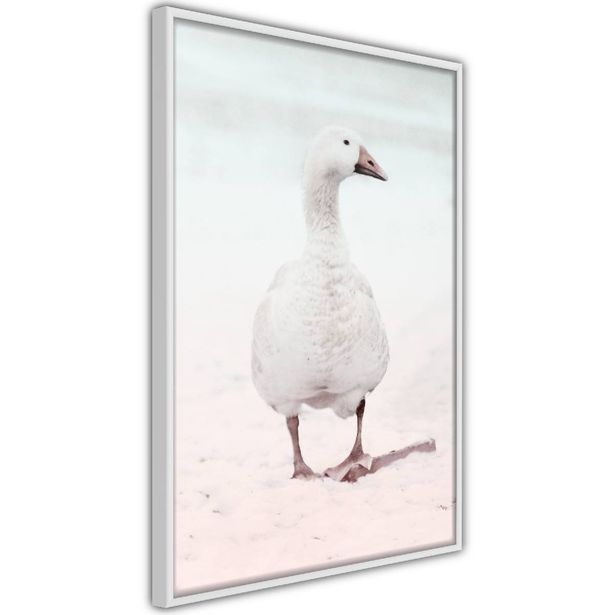 Juliste Artgeist Winter Duck, kehyksillä, eri kokoja
