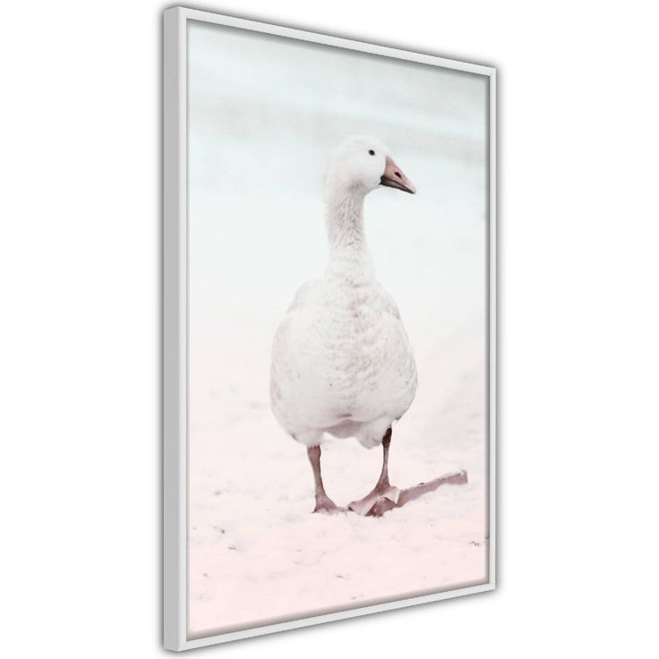 Juliste Artgeist Winter Duck, kehyksillä, eri kokoja