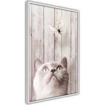 Juliste Artgeist Cat&#039;s Nature, kehyksillä, eri kokoja