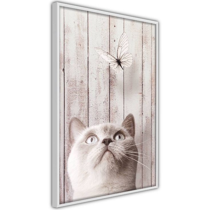 Juliste Artgeist Cat's Nature, kehyksillä, eri kokoja