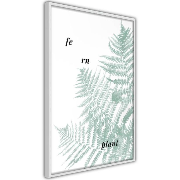 Juliste Artgeist Fern Plant, kehyksillä, eri kokoja