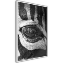 Juliste Artgeist Zebra Eye, kehyksillä, eri kokoja