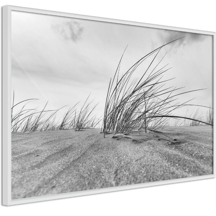 Juliste Artgeist Seaside Reed, kehyksillä, eri kokoja