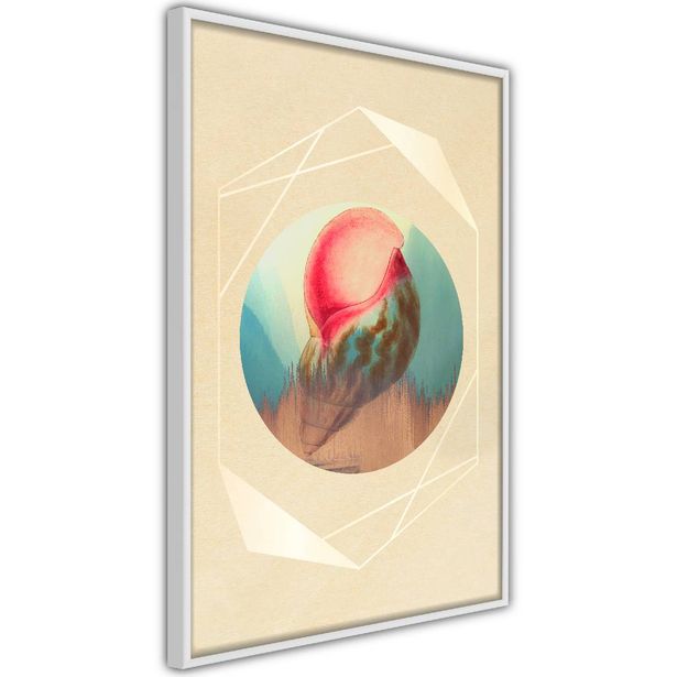 Juliste Artgeist Seashell, kehyksillä, eri kokoja