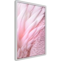 Juliste Artgeist Feathers, kehyksillä, eri kokoja
