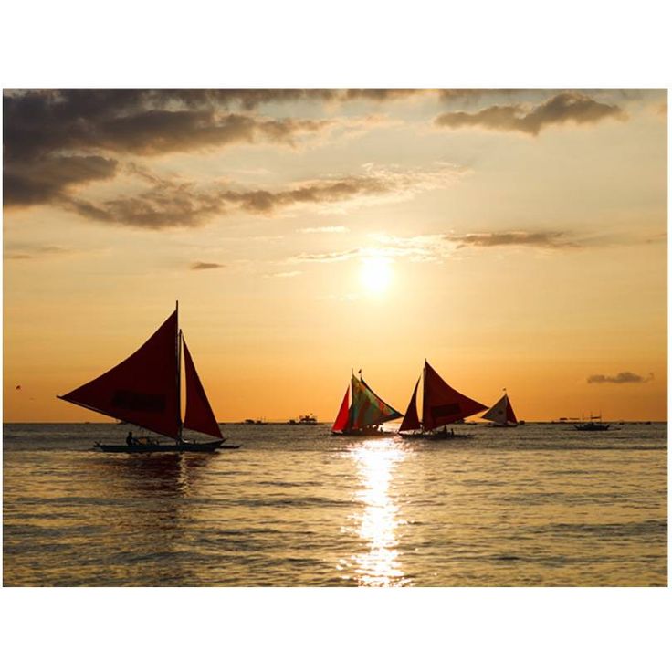 Kuvatapetti Artgeist Sailing boats - sunset, eri kokoja