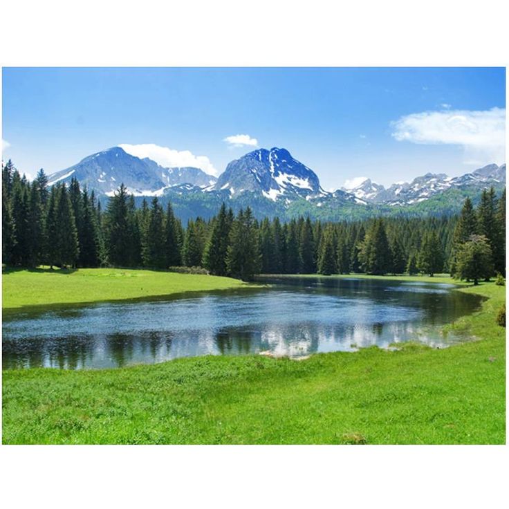Kuvatapetti Artgeist National Park Durmitor, Montenegro, eri kokoja