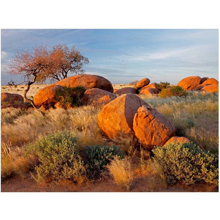 Kuvatapetti Artgeist Africa, Namibia, eri kokoja