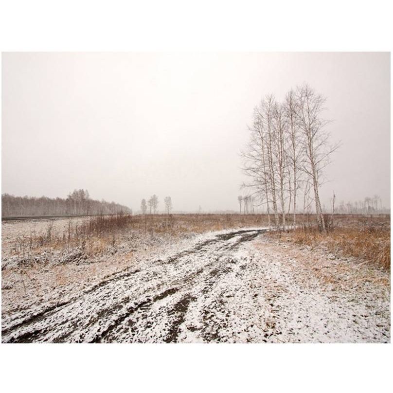 Kuvatapetti Artgeist Winter field, 309x400cm, beige